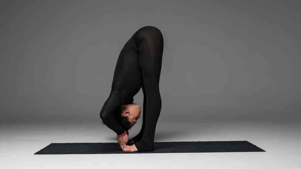 পদহস্তাসন।