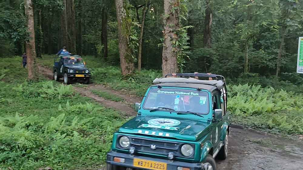 ডুয়ার্সের অরণ্যে ‘কার সাফারি’।