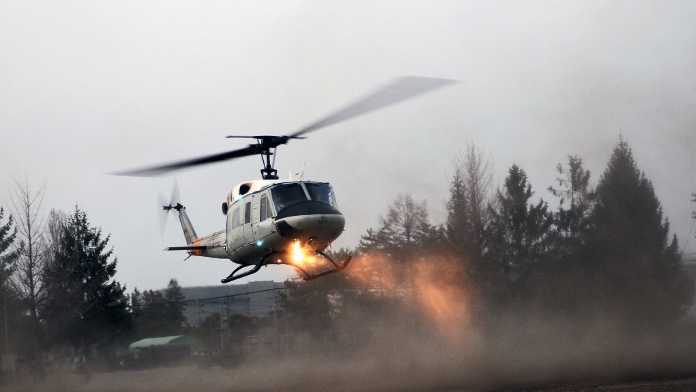 জেপার্ডও এ ব্যাপারে হাউইৎজারের মতোই মায়া-দয়াহীন। বাংলায় একটি প্রবাদ আছে, 'ছোট হলেও বিষফোঁড়া'। জেপার্ডও শত্রুপক্ষের কাছে বিষফোঁড়ার মতোই যন্ত্রণাদায়ক হয়ে উঠতে পারে।