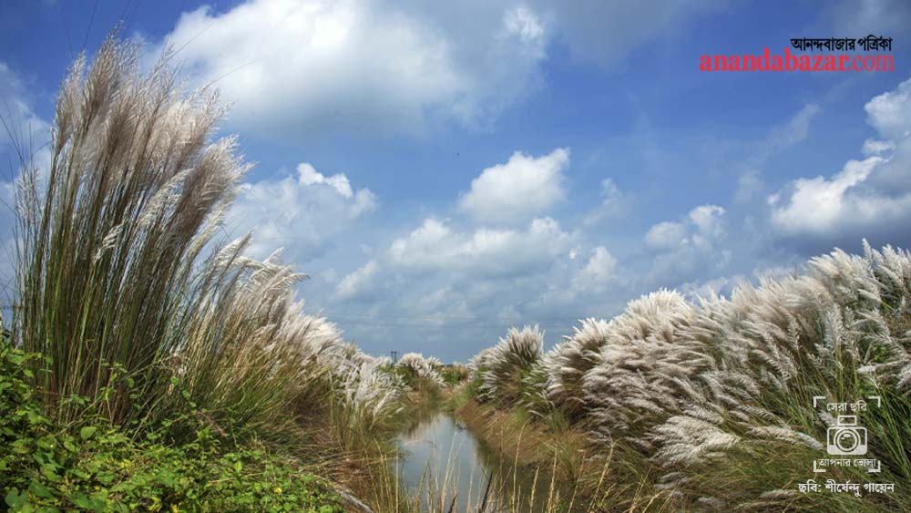 ছবিটি তুলেছেন: শীর্ষেন্দু গায়েন