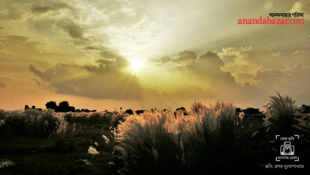 ছবিটি তুলেছেন: প্রণয় মুখোপাধ্যায়