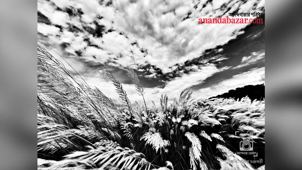 ছবিটি তুলেছেন: প্রদীপ্ত চক্রবর্তী