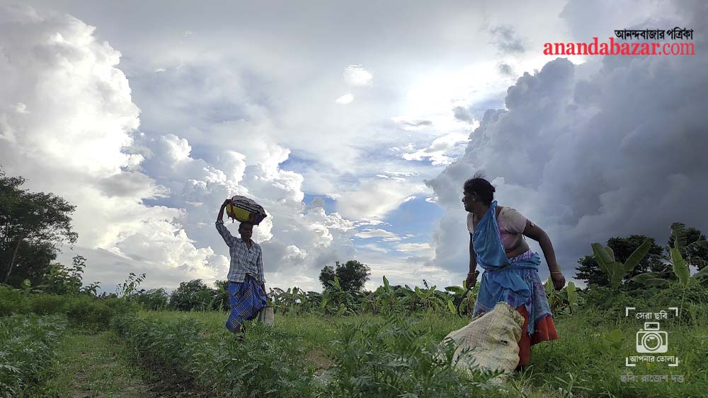 ছবিটি তুলেছেন: রাজেশ দত্ত