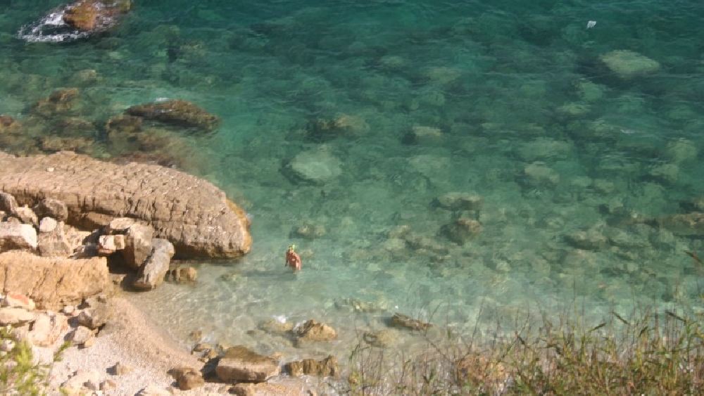 জাবিয়ার পোর্টিটজল দ্বীপে সমুদ্রের জলে নেমেছিলেন তাঁরা। প্রথমে নুড়ি পাথরের নীচে চাপা পড়ে থাকা আটটি স্বর্ণমুদ্রা পেয়েছিলেন তাঁরা। পরে তাঁদের কথায় ওই এলাকায় তল্লাশি চালিয়ে স্পেনের প্রত্নতত্ত্ববিদরা আরও ৪৫টি স্বর্ণমুদ্রা উদ্ধার করেন।