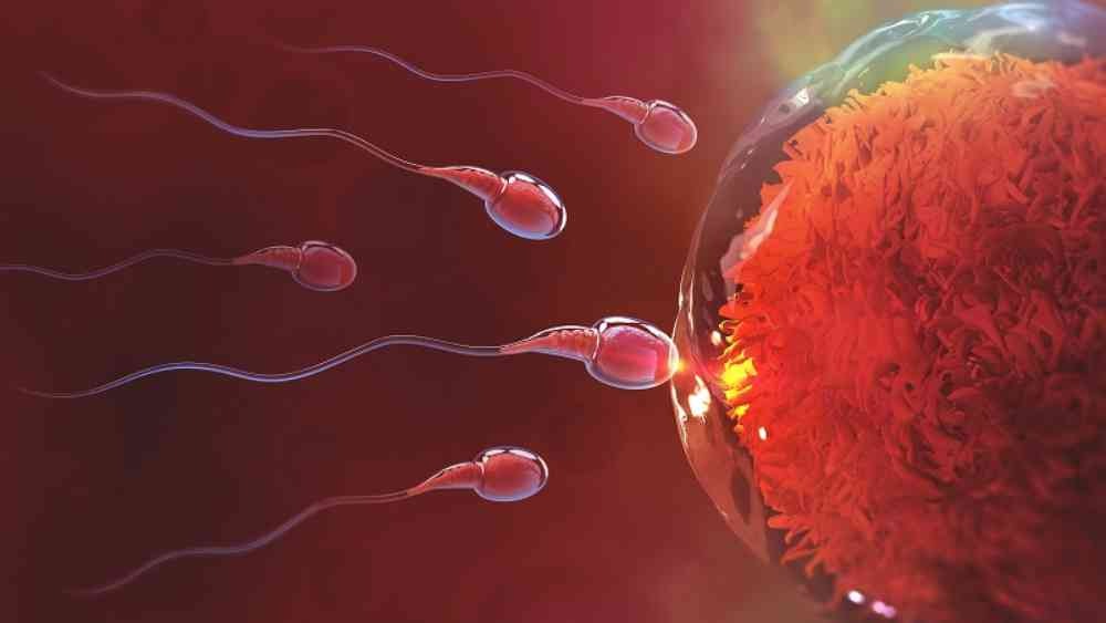 প্রতীকী ছবি।