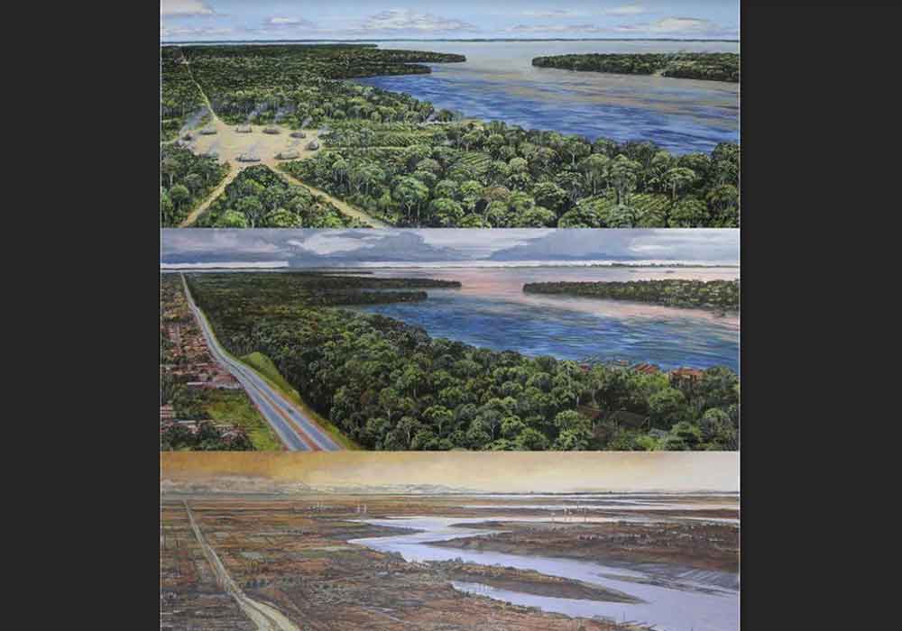 আমাজন অববাহিকা। উপরে- এখনকার ছবি। নীচে- ২১০০ সালে যা অবস্থা হবে। ছবি সৌজন্যে- টুইটার।