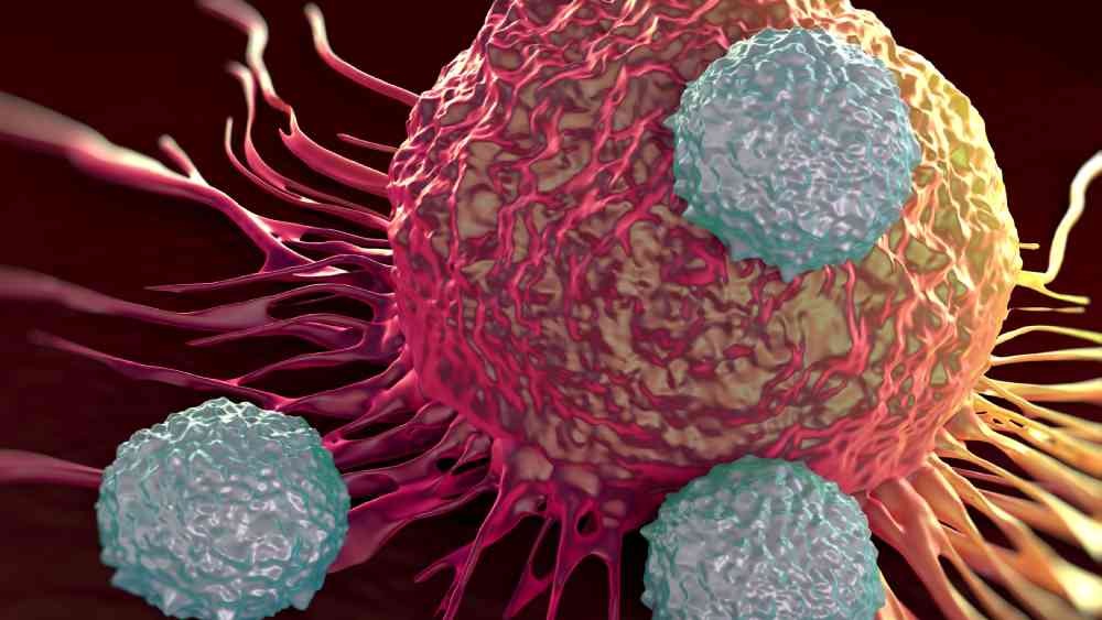 প্রতীকী ছবি।