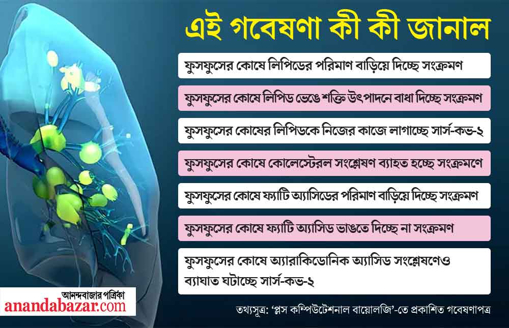 গ্রাফিক- শৌভিক দেবনাথ।