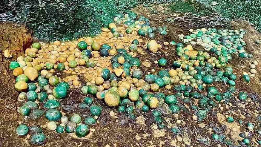 গুহার নীচে এক ধরনের উজ্জ্বল সবুজ নিটোল গোল পাথরেরও সন্ধান পাওয়া গিয়েছে। এক ঝলকে দেখে মনে হতে পারে, পাতিলেবুর রঙের এবং আকারের মুক্তা। তবে আসলে সেগুলি মুক্তা নয়। গুহার ভিতর চুঁইয়ে পড়া বৃষ্টির জলের ক্যালসিয়াম থেকে এই ধরনের পাথর তৈরি হয়। নাম ‘কেভ পার্ল’ বা 'গুহা-মুক্তা'।