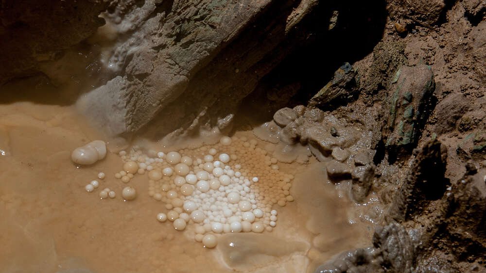 গুহার ভিতর চুনাপাথরও পেয়েছেন ওমানিরা। তবে এ-সব কিছুর থেকে গুরুত্বপূর্ণ এবং মূল্যবান যে বিষয়টি তাঁরা আবিষ্কার করেছেন, তা হল—সত্যি।