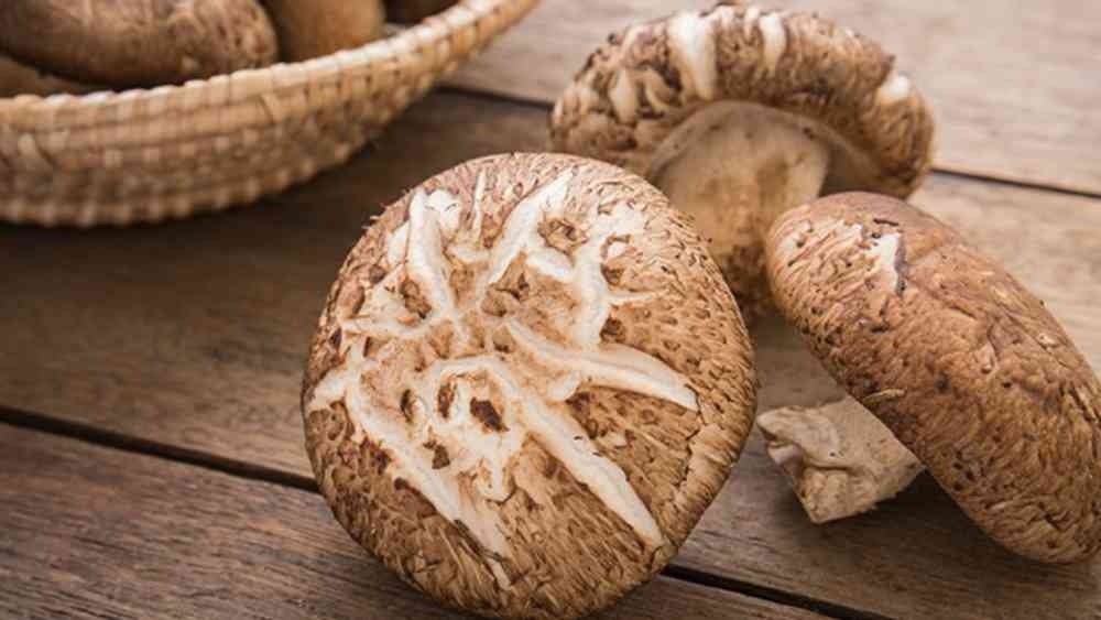 মুখের ভিতরের ক্ষতিকর ব্যাকটিরিয়াগুলিকে নষ্ট করতে শিটেক মাশরুমের কোনও বিকল্প নেই।