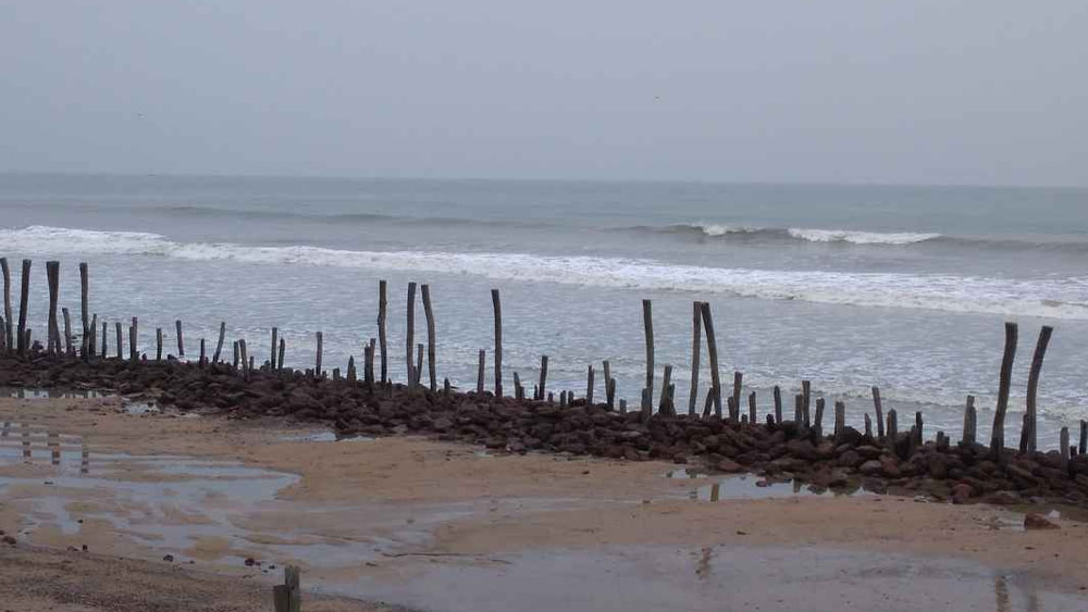 উপকূলবর্তী রাজ্য হয়েও পশ্চিমবঙ্গ শিল্পায়নে এত পিছিয়ে কেন?