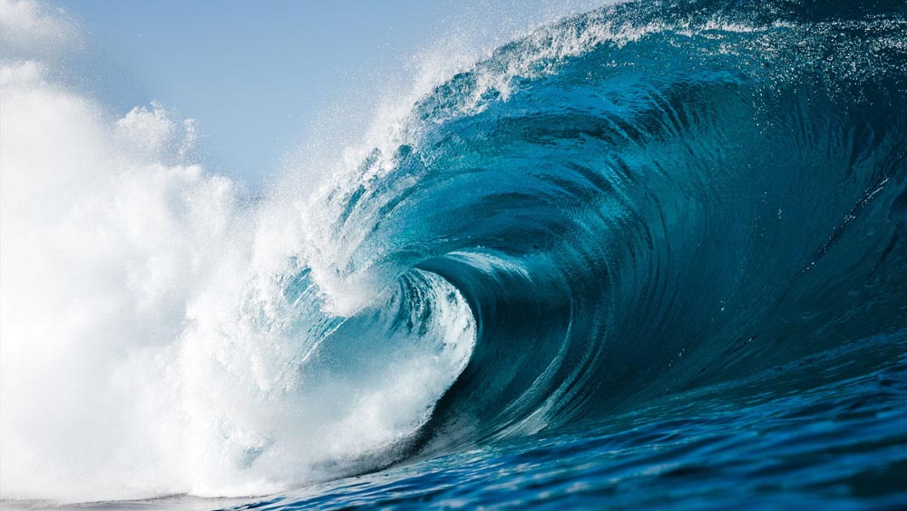 একটি সর্বভারতীয় সংবাদমাধ্যমের দাবি, বঙ্গোপসাগর এলাকায় ঘূর্ণিঝড় শুরু হওয়ার আগেই সেই জলপথ পার করে ভারতে ঢোকার পরিকল্পনা ছিল হোয়ের।