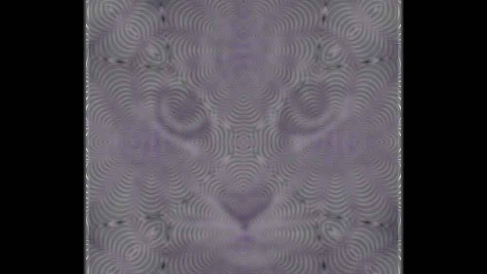 প্রতীকী ছবি।