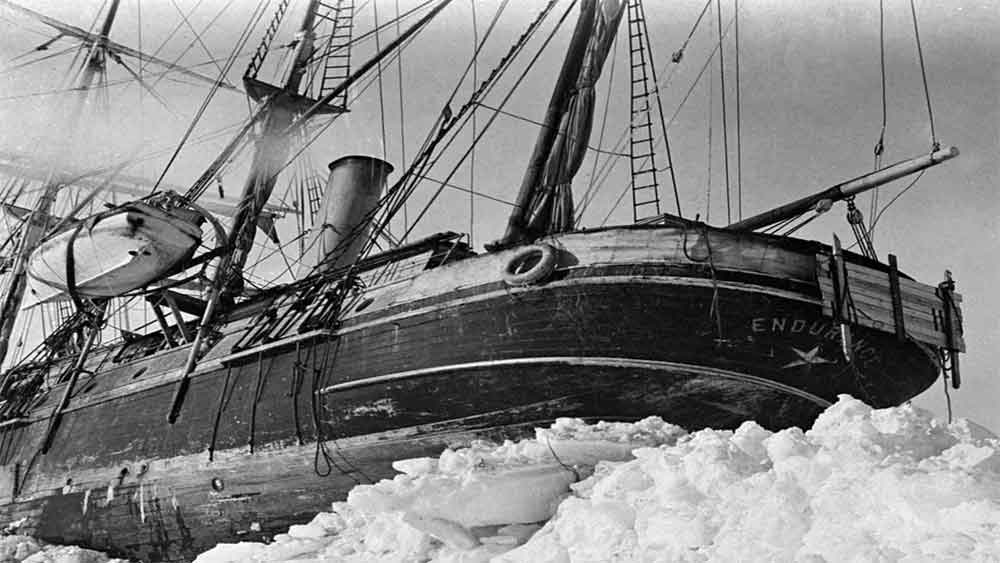 ১৯১৫ সালে প্রথম বার অ্যান্টার্কটিকা পার করার উদ্দেশ্যে ‘এনডিওরেন্স’ নিয়ে লন্ডন থেকে রওনা হয়েছিলেন স্যর শেকেলটন। সঙ্গে ছিলেন ২৮ জন জাহাজকর্মী। ১৪৪ ফুট লম্বা ওই জাহাজে ছিল ৬৯টি কুকুর এবং একটি বেড়াল— মিসেস চিপি।