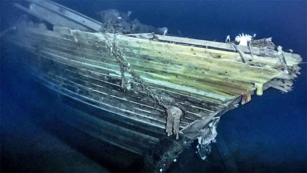 সমুদ্রের গভীরে হারিয়ে যাওয়ার আগে জাহাজে ছিলেন কর্মীরা। এমনকি, বরফের চাঁইয়ের মাঝে বেশ কয়েক মাস তাঁবু খাটিয়েও ছিলেন তাঁরা। এর পর বোটে চেপে এলিফ্যান্ট দ্বীপের উদ্দেশে রওনা দেন। অনেকের দাবি, বেঁচে থাকার জন্য জাহাজের কুকুরছানাদের কেটে তার মাংস খেয়েছিলেন কর্মীরা।