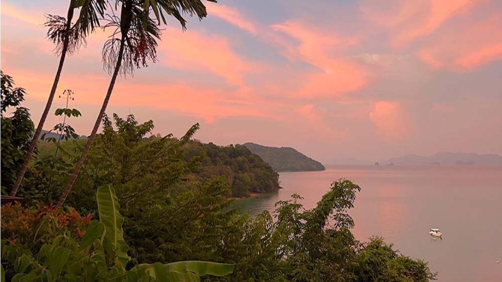 মলদ্বীপে খানিকটা সময় কাটিয়েই বলিউডি জীবনে ঢুকে পড়তে হয়েছিল দু’জনকেই। কাজ তো বড় একটা কম নয়। এই মুহূর্তে ভিকির হাতে রয়েছে ‘গোবিন্দা নাম মেরা’, ‘দ্য গ্রেট ইন্ডিয়ান ফ্যামিলি’-সহ লক্ষ্মণ উতেকর এবং আনন্দ তিওয়ারির একটি করে ছবি।