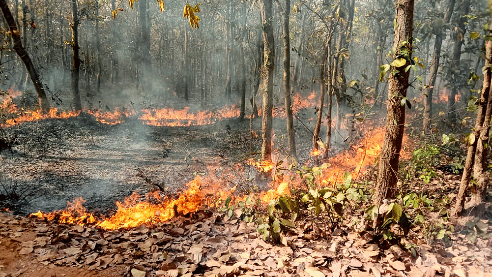 এ ভাবেই আগুন ধরানোর অভিযোগ। কাঁকসায়। 