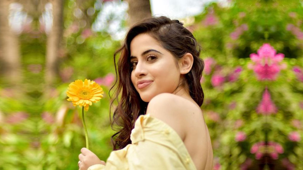 বেশ কিছু টিভি ধারাবাহিক এবং ওয়েব সিরিজে পার্শ্ব চরিত্রে অভিনয় করতে দেখা গিয়েছে উরফিকে।