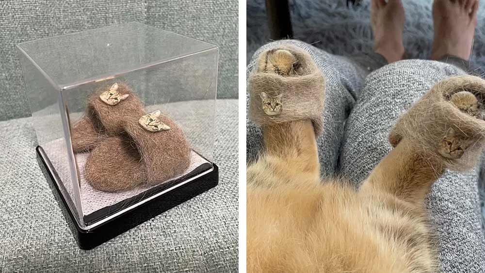 মিনারার জুতো জোড়া।