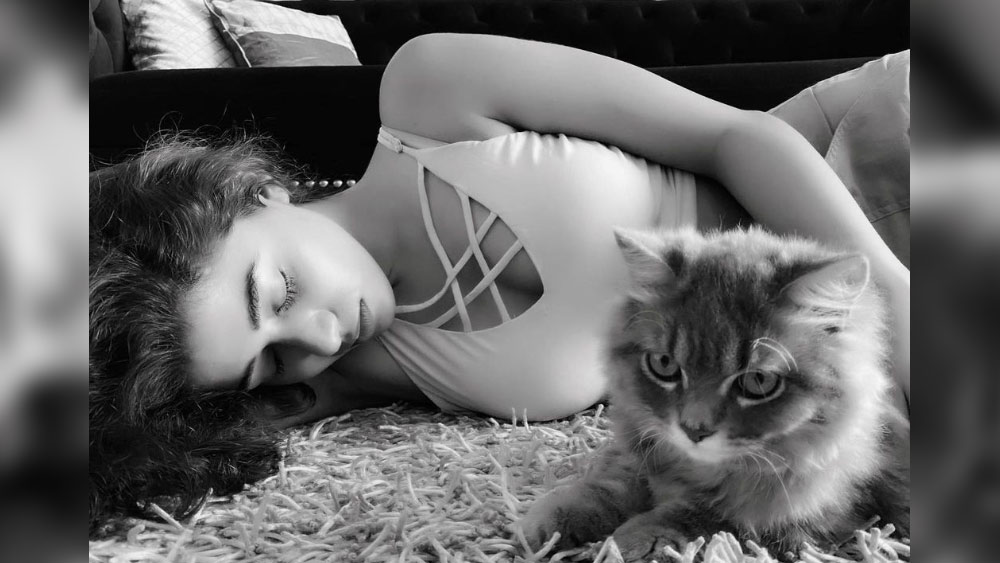 পশুপাখিও ভালবাসেন তিনি। তাঁর পোষ্য একটি বিড়াল রয়েছে। নাম ফাজ। আরতির কাছে তিনি ‘পরিবারের সবচেয়ে সুন্দর সদস্য’।