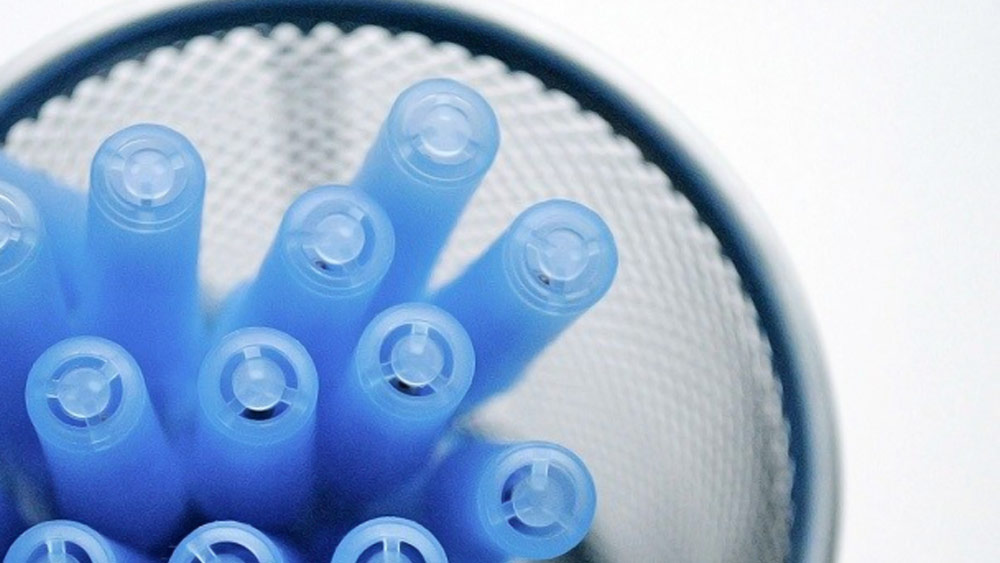 তা হলে এর আসল কারণ কী?