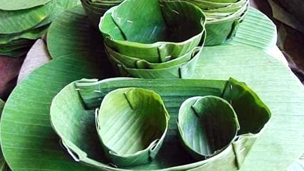 জীবন গতিশীল হয়েছে। স্বাচ্ছন্দ্যমুখী হয়েছে। কলাপাতায় খেতে বসে কোলের উপর সুড়ুৎ করে গড়িয়ে পড়া ঝোলের বিড়ম্বনা আর বইতে চান না অধিকাংশই। হয়তো এই কারণেই কলাপাতা একটু একটু করে ব্রাত্য হয়েছে।