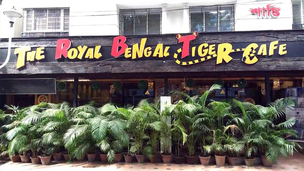 রয়্যাল বেঙ্গল টাইগার কাফে: বন্যপ্রাণী সংরক্ষণ এখন অতি চর্চিত বিষয়। আর বাঙালির বন্যপ্রাণী বললেই প্রথমে মাথায় আসে সুন্দরবন আর রয়্যাল বেঙ্গল টাইগার। সেই রয়্যাল বেঙ্গল টাইগারকে কেন্দ্র করেই টালিগঞ্জে রয়েছে রয়্যাল বেঙ্গল টাইগার কাফে। কাফের দরজায় যেমন রয়েছে বড়সড় একটি বাঘের মূর্তি তেমনই ভিতরে রয়েছে বাঘের হরেক রকম ছবি।
