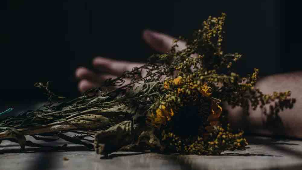 কিন্তু ছোট থেকেই গৃহহীন বা পরিচয়হীন ভাবে জীবন কাটে যে সব মানুষের, তাঁরা মারা যাওয়ার পর কী হয়? কখনও কখনও সরকারি সাহায্যে অন্ত্যেষ্টি হয়। আবার কখনও বেওয়ারিশ লাশ হিসেবে ঠাঁই হয় হিমঘরে।