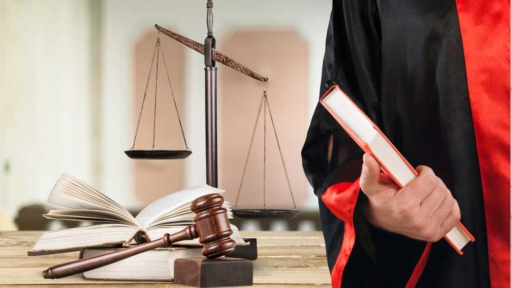 আইন নিয়ে পড়াশোনার শেষে আদালতের বাইরের কোনও পেশা বেছে নিতে চেয়েছিলেন শগুফ্‌তা। ইচ্ছে ছিল, আইনি পরামর্শদাতা বা অন্য কোনও পেশায় যাবেন।