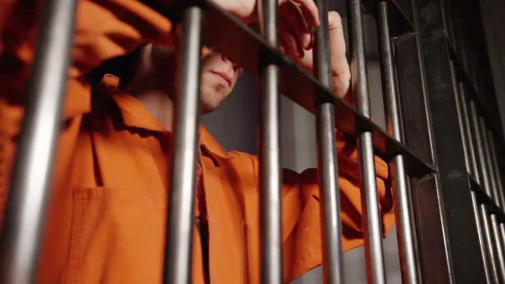 রাজশাহীর পর হাই কোর্টেও তাহেরের খুনের মামলা চলে। তবে ২২ মে ২০০৮ সালে রাজশাহী স্পিডি ট্রায়াল ট্রাইব্যুনালে চার অভিযুক্তের ফাঁসির সাজা হলেও জামিন পেয়ে যান মহিউদ্দিন। এর পর মামলা হাই কোর্টে গেলে সেখানেও জামিনে মুক্ত হন তিনি।