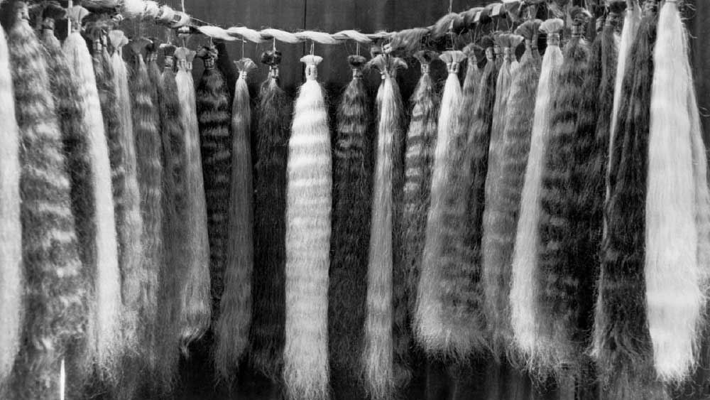 পরচুলার কারবারে প্রভূত মুনাফায় অর্থনৈতিক শক্তিধর হওয়ার পাশাপাশি বদল ঘটেছিল দক্ষিণ কোরীয় মহিলাদের আর্থ-সামাজিক জীবনেও।