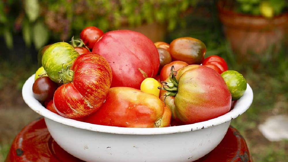 হেঁশেল সামলাতে রীতিমতো হিমশিম খেতে হয় সকলকে। 