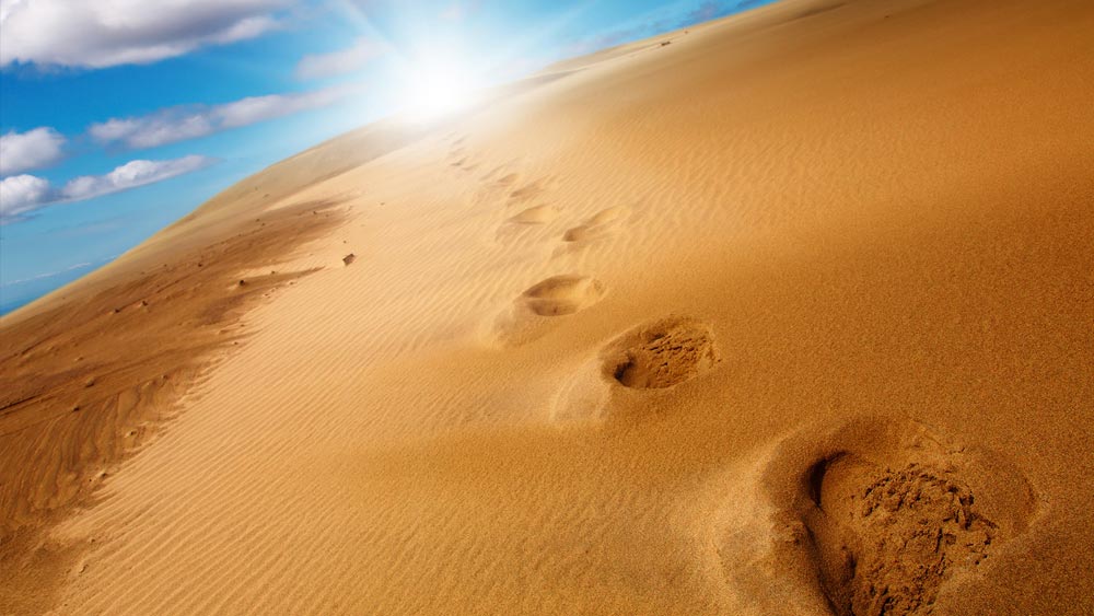 ‘পগী’ অর্থাৎ পায়ের ছাপ সম্বন্ধে যাঁর অগাধ জ্ঞান রয়েছে। যদিও অনেকের মতে, ‘পগী’র অর্থ হল পথপদর্শক। যিনি মরুরাজ্যের মধ্যে দিয়ে সঠিক গন্তব্যে পৌঁছে দেন।