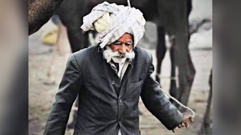 আপাত সাধারণ মনে হলেও শুধুমাত্র পথপদর্শক ছিলেন না পগী। বস্তুত, তাঁর দক্ষতার কথা জেনেই ভারতীয় সেনার গাইডের কাজে তাঁকে নিযুক্ত করেছিলেন বনাসকণ্ঠা জেলার পুলিশ সুপার বনরাজ সিংহ ঝালা। সে সময় পগীর বয়স ছিল ৫৮।