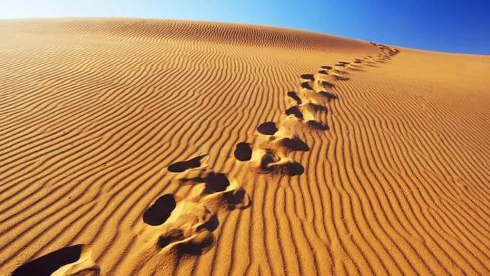 পগীর দক্ষতার পরিচয় পাওয়া গিয়েছিল ১৯৬৫ এবং ’৭১-এর ভারত-পাক যুদ্ধে। মরুরাজ্যে পায়ের ছাপ দেখে যিনি নিখুঁত ভাবে বলে দিতে পারতেন, ওই ছাপের মালিক কত ওজনের বা উচ্চতার। তাঁর লিঙ্গপরিচয়ও জানিয়ে দিতেন পগী।