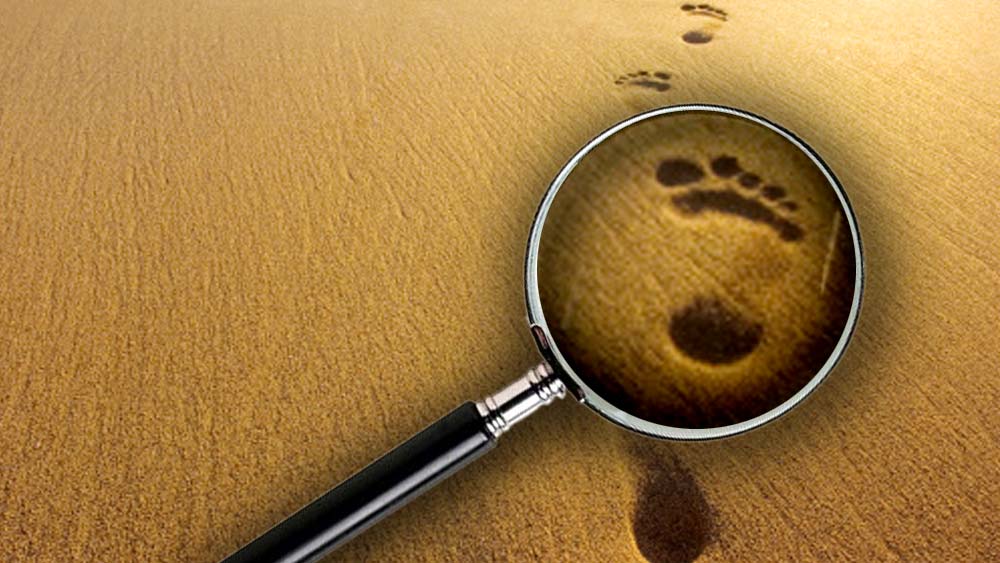 সেনার তরফে ব্যক্তিগত ভাবে এ প্রস্তাব দিয়েছিলেন মানেকশ’। রণছোড়দাসের জন্য ভারতীয় সেনায় একটি বিশেষ পদও তৈরি করেছিলেন তিনি— ‘পগী’।