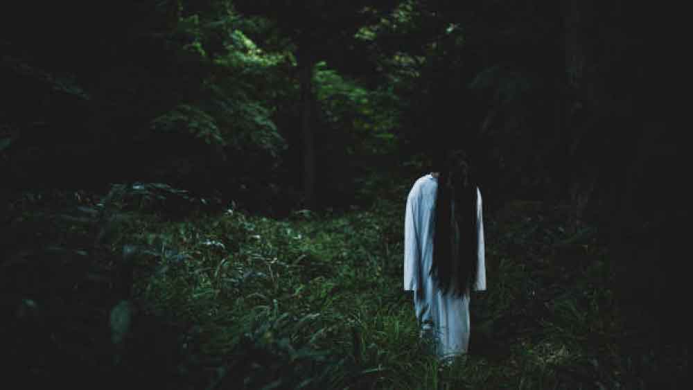 গ্রামবাসীদের দাবি ছিল, সেই ‘ভূত’ নাকি কখনও জাপটে ধরত, কখনও আবার পিছু ধাওয়া করত। এক প্রসূতি নাকি এমন ভয় পেয়েছিলেন যে, কয়েক দিন পর মৃত্যু হয়েছিল তাঁর।