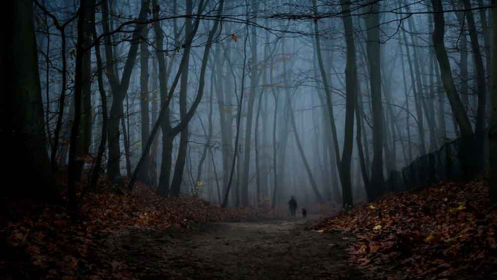 বিচারককে গ্রাহাম জানান, তাঁর এক সহযোগী প্রায়ই তাঁর সন্তানদের ভূতের গল্প শুনিয়ে ভয় দেখাতেন। সেই সহযোগীকে ভয় দেখানোর জন্য তিনিই সাদা পোশাকে রাতে ঘুরে বেড়াতেন। কিন্তু তাঁর সেই দাবি ধোপে টেকেনি।