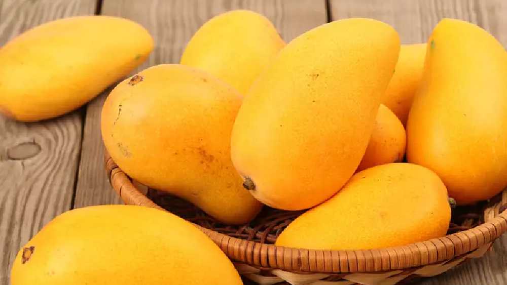 প্রতীকী ছবি।