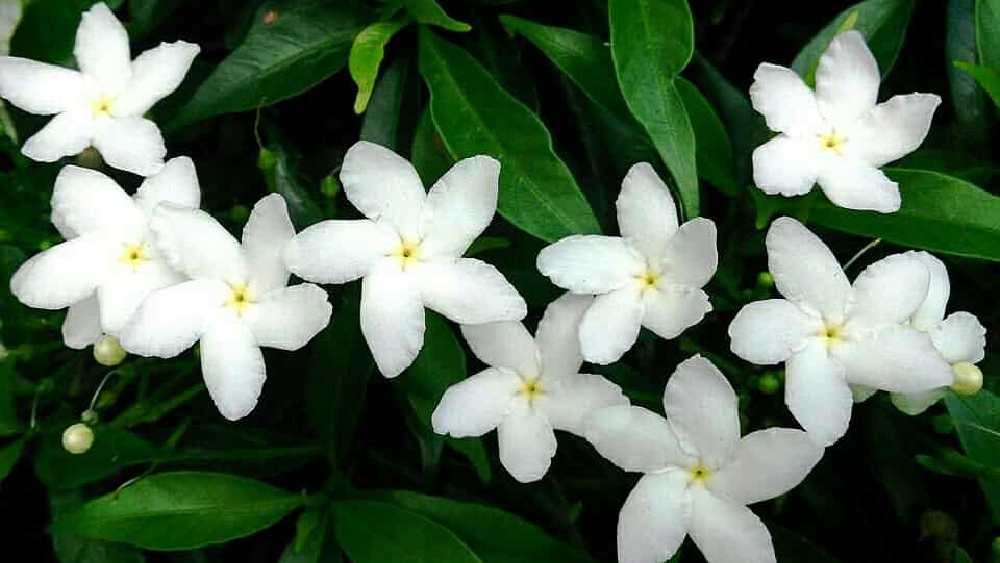 প্রতীকী ছবি।