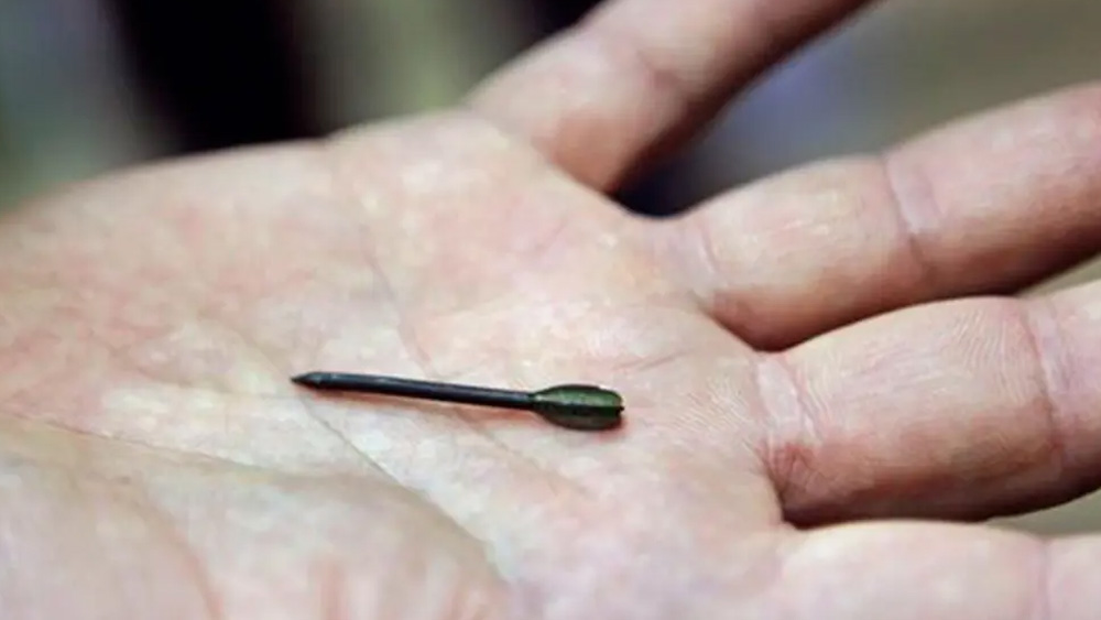 ডার্টগুলি দেখতে এক ইঞ্চি পেরেকের মতো। যেগুলির এক প্রান্তে তীরের মতো পাখনা থাকে। বাতাসের মধ্যে গিয়ে এইগুলি গতিশীল হয়ে ওঠে।