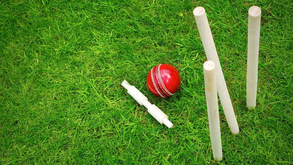 অঙ্ক ভাল লাগত। সঙ্গে সেতার শিখতেন। আর স্বপ্ন দেখতেন ক্রিকেটার হওয়ার। সেই মতো পরিশ্রম করতেন। ক্লাব স্তরে নিয়মিত খেলতেন।