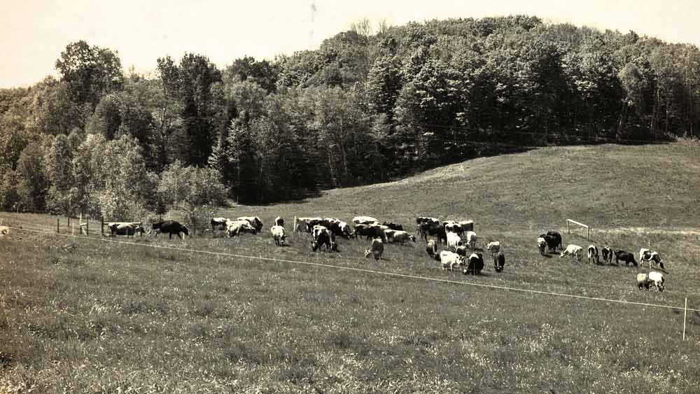 এই ঘটনায় পর যে তথ্য প্রকাশ্যে আসে তা থেকে জানা যায়, গুজরানওয়ালা থেকে সাতরাহের উদ্দেশে যাত্রা করেন কাসিম। সেই সময় তাঁর বিমানে ছিলেন বেশ কয়েক জন পাক সেনা আধিকারিক। তাঁদের পাসরুতে পৌঁছে দেওয়ায়ই মূল উদ্দেশ্য ছিল সেই যাত্রার।