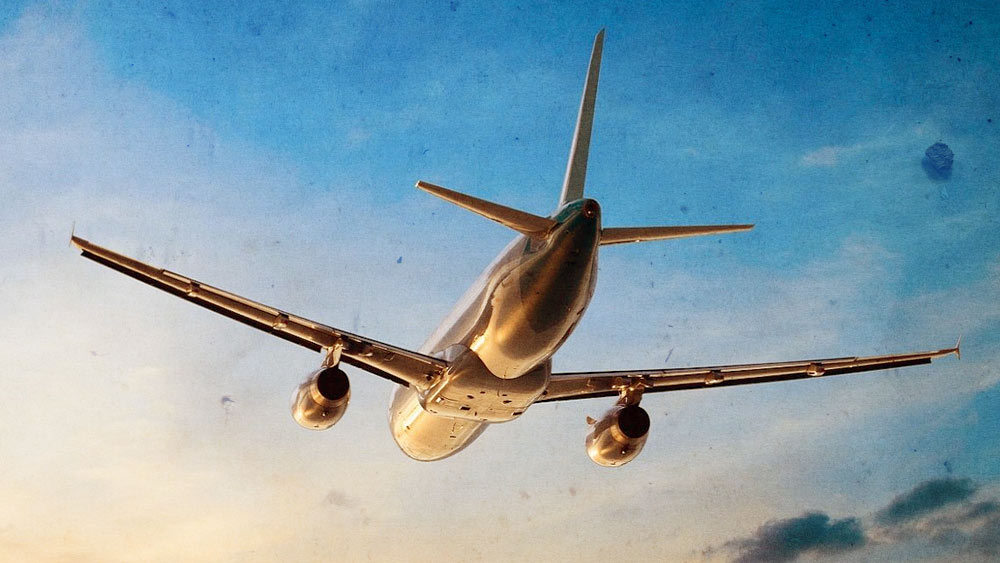 তাঁর বিমান চালানোর স্বল্প অভিজ্ঞতা ছিল। কয়েক মাস আগে তিনি বিমান চালানোর যোগ্যতার পরীক্ষাও দিয়েছিলেন।