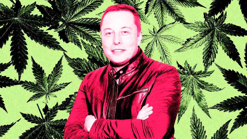 ২০১৮ সালে সব বিতর্ক পেরিয়ে এক পডকাস্টে উপস্থিত হয়েছিলেন তিনি। কিন্তু সেখানেও লাইভ স্ট্রিমিংয়ের সময়ে হুইস্কি পান করেন এবং গাঁজাও টানেন মাস্ক। খাওয়ার আগে অবশ্য জেনে নেন ক্যালিফোর্নিয়ায় তা আইনত বৈধ কি না। 