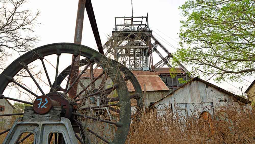 গত ১০০ বছরে ১০০ থেকে শূন্যে পরিণত হয় কেজিএফ। গৌরবের শহর আজ ‘ভুতুড়ে’। কী ভাবে গৌরব হারাল কেজিএফ? এখন সেখানকার অবস্থা কী? চোখ রাখুন পরের পর্বে।