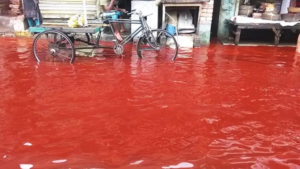 এই কথা অতিরঞ্জিত বা কল্পবিজ্ঞানের গল্প মনে হলেও এই ঘটনা বৈজ্ঞানিক মহলকে নাড়িয়ে দিয়েছিল।