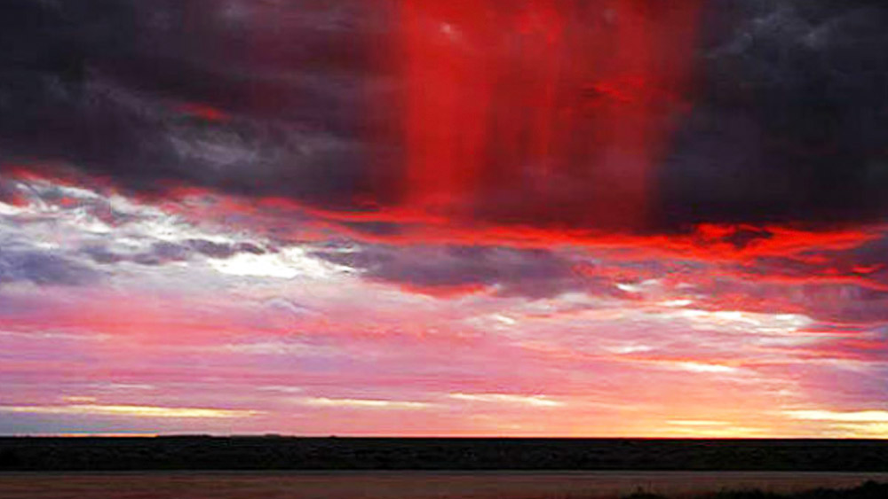 ২০০৮ সালের এপ্রিলে গডফ্রে একটি গবেষণাপত্র প্রকাশ করেন। এই গবেষণাপত্রে তিনি উল্লেখ করেন যে, বায়ুমণ্ডলে ধূমকেতুর বিস্ফোরণের ফলে মহাকাশ থেকে অনেক জীবাণু কেরলের বায়ুমণ্ডলে প্রবেশ করে। আর তার ফলেই এই রক্তবৃষ্টি।
