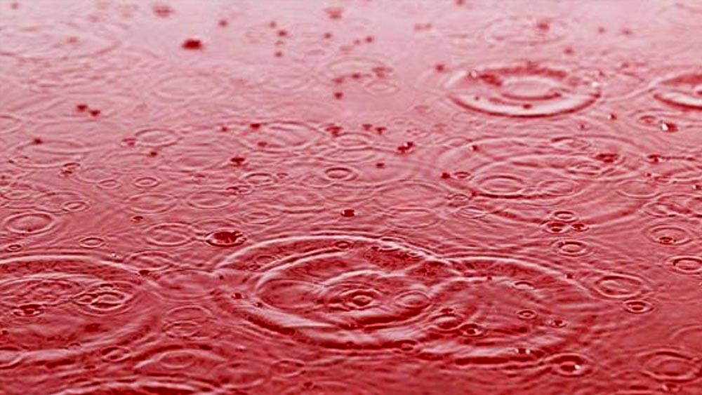 তবে শেষ পর্যন্ত অনেক পরীক্ষা করার পরও এই ঘটনার কোনও সঠিক এবং প্রমাণসাপেক্ষ কারণ খুঁজে পাওয়া যায়নি।